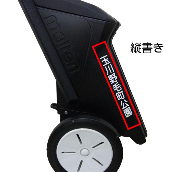 モルテン molten レーザーライナー2輪 5cm/12cm レーザーライナー 2輪 (陸上用5cm/サッカー用12cm) | モルテン