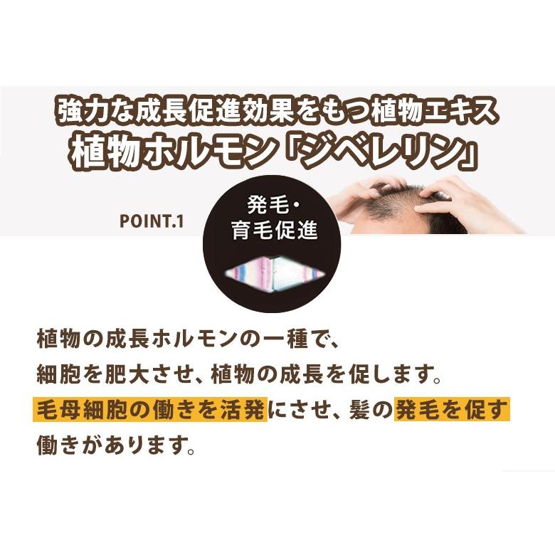 薬用育毛剤 Hair rich EX ヘアーリッチ P-UP ピーアップ 医薬部外品 