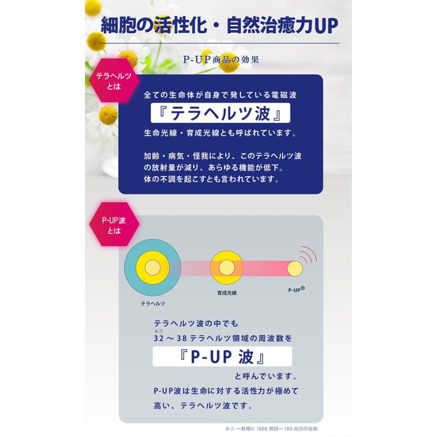 正規品 超美振動 歯磨き粉 | P-UP BioPaste ピーアップ バイオペースト 60g オーラルケア 歯周病対策 ホワイトニング 口臭対策 天然由来成分｜web-st｜07