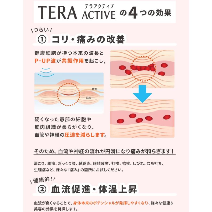 健康 シール | P-UP TERA ACTIVE ピーアップ テラアクティブ ステッカー 肩こり 腰痛 筋肉痛｜web-st｜03