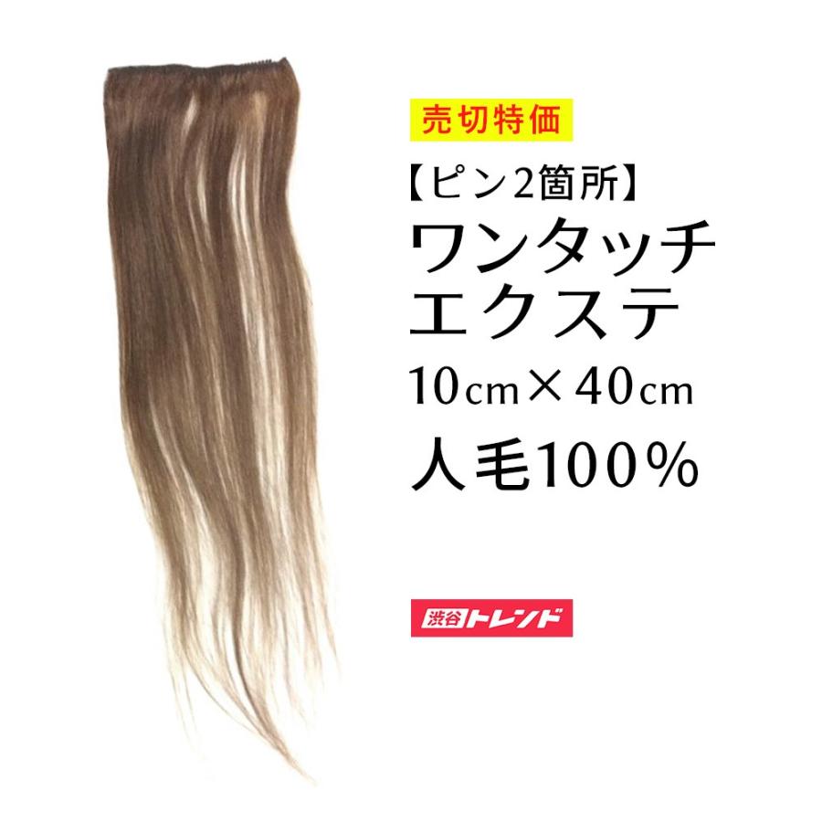 ワンタッチエクステ 幅10cm 長さ40cm 襟足ウィッグ : st00043 : 渋谷 