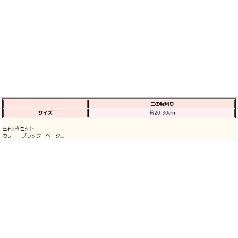堅実な究極の堅実な究極の二の腕すっきりシェイパー ゲルマニウム配合 (2枚組) レディース 二の腕シェイプ 二の腕 シェイパー ダイエット サポーター サポート 着圧 レディース 二の腕 サポーター シェイパー 矯正 美腕 ft ベージュ 2枚セット 左右