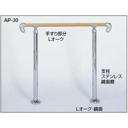 屋外玄関用アプローチ手すり AP-30｜web-takigawa