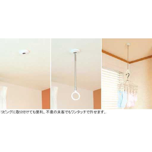 室内物干し金物 天井吊り下げ型 Spcl M 木目天井用 ロングタイプ Go Gi29l Webショップ Takigawa 通販 Yahoo ショッピング