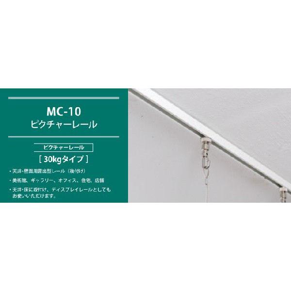 アラカワ ピクチャーレール MC-10 30kgタイプ ホワイト ビス穴あき