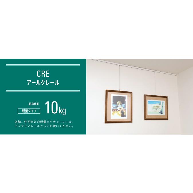ピクチャーレール 荒川 技研 CRE1800 ワイヤー フック セット