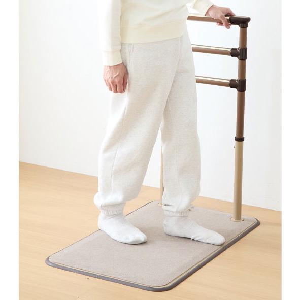 ^._.^ (8月22日までお取り置き) 据置式 補助 手すり たよレール UPDATE02 : webショップ