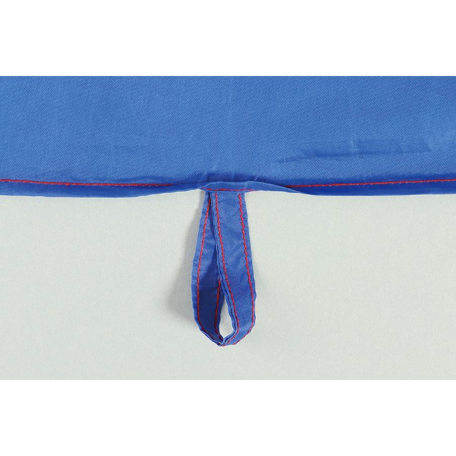 【法人様のみの販売】アーテック　ビッグバルーン　00007306 |  | 03