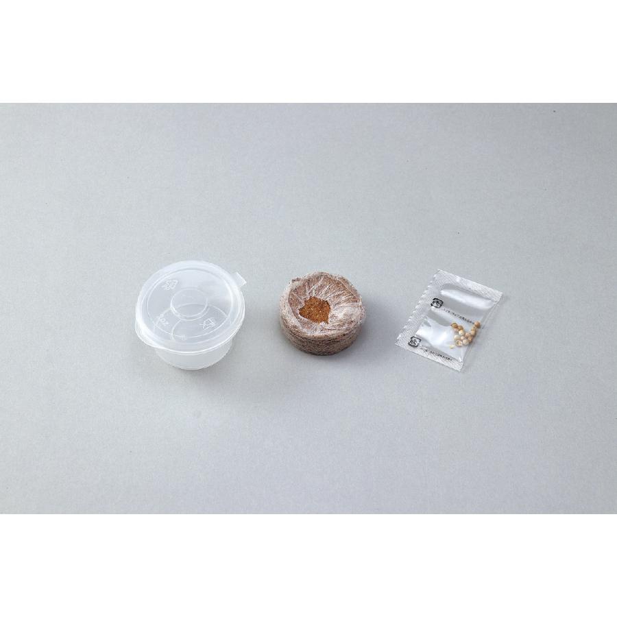 【法人様のみの販売】アーテック　プチベジ パクチー　00102928 |  | 01