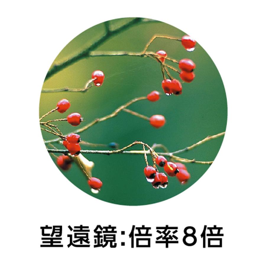 【法人様のみの販売】 アーテック 8・30スコープ （新型ブリスター仕様)　002648 |  | 07