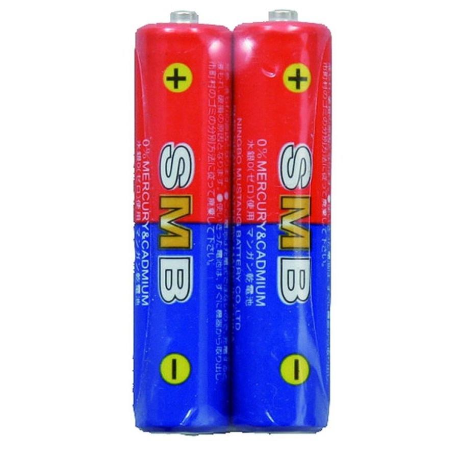【法人様のみの販売】 アーテック 理科教材電池 単4(2本組)　069496 | 