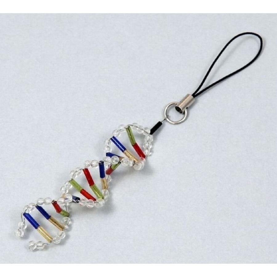 【法人様のみの販売】 アーテック DNAストラップ作り　093429 | 