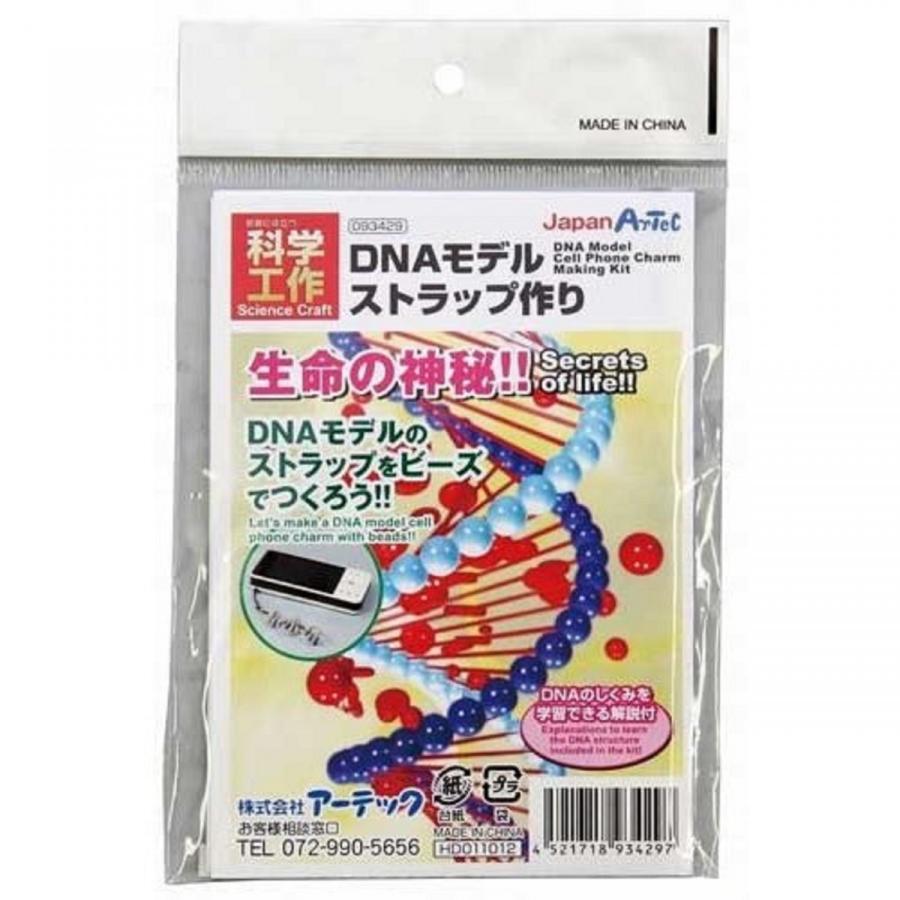 【法人様のみの販売】 アーテック DNAストラップ作り　093429 |  | 03
