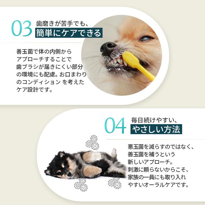 ポスト投函 まとめ買い プレミアモード プロバイオデンタル 犬・猫・小動物用 パウダー 7.35g 3個セット ペット オーラルケア 口腔 歯石 サプリ 粉末タイプ |  | 11
