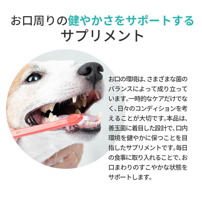 ポスト投函 まとめ買い プレミアモード プロバイオデンタル 犬・猫・小動物用 パウダー 7.35g 3個セット ペット オーラルケア 口腔 歯石 サプリ 粉末タイプ |  | 05