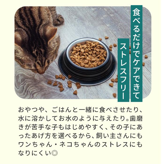 ポスト投函 まとめ買い プレミアモード プロバイオデンタル 犬・猫・小動物用 パウダー 7.35g 3個セット ペット オーラルケア 口腔 歯石 サプリ 粉末タイプ |  | 09