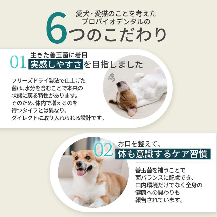 ポスト投函 まとめ買い プレミアモード プロバイオデンタル 犬・猫