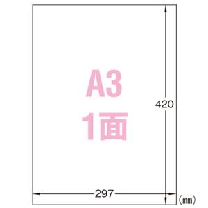 まとめ買い　ラベルシール　エーワン　10個セット　耐光　レーザープリンタラベル　屋外用ホワイトフィルム　ノーカット　耐水　A3　5枚入　31033