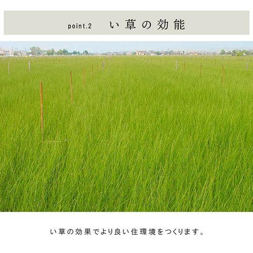 ピックアップ特集 メーカー直送 イケヒコ 国産 い草 日本製 置き畳 ユニット畳 簡単 和室 3層 約70×70×1.5cm