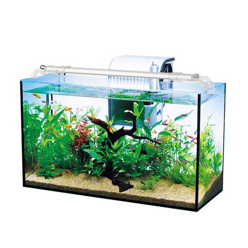 スペクトラムブランズ テトラ オールグラスアクアリウム 5 熱帯魚セット Webby Shop 通販 Yahoo ショッピング