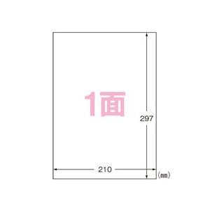 無ページ 壁紙 のりなし壁紙 クロス サンゲツ FINE2023-2026 ファイン