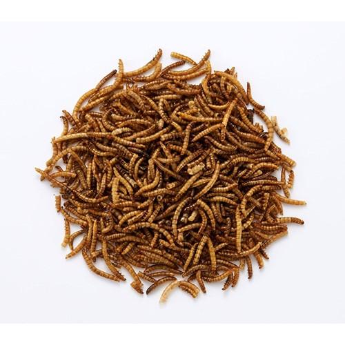 マルカン 虫グルメ 乾燥ミルワーム 40g Webby Shop 通販 Yahoo ショッピング