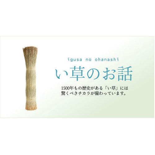 イケヒコ い草花ござ カーペット DXクルー グリーン 本間8畳 【バター】 約382×382cm