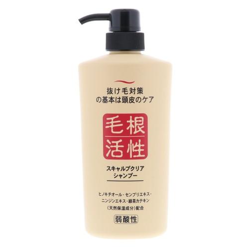 ジュン・コスメティック スキャルプクリア シャンプー 550ml : webby