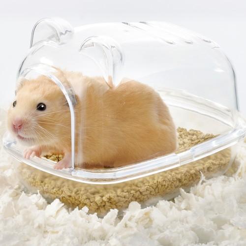 ジェックス GEX ハビんぐ ハーモニートイレ : webby shop - 通販