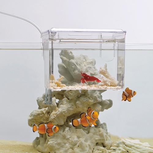 スドー サテライト Webby Shop 通販 Yahoo ショッピング