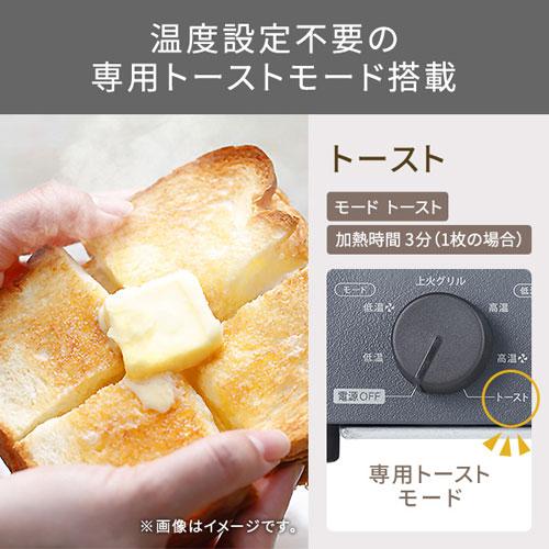 テスコム TESCOM 低温コンベクションオーブン スレートグレー