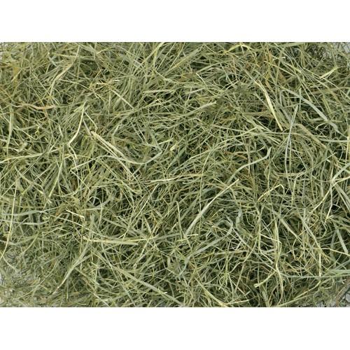 三晃商会 北海道 ソフトチモシー 600g うさぎ 子ウサギ 牧草 おやつ