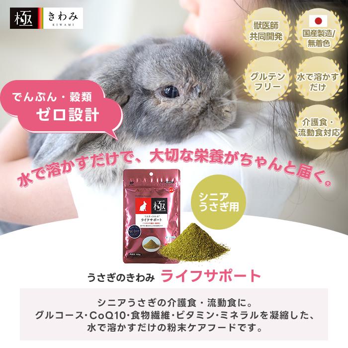 ハイペット うさぎのきわみ ライフサポート 100g うさぎ 介護食 流動食
