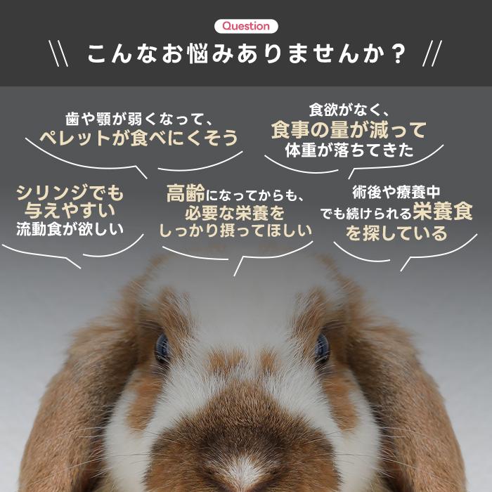 ハイペット うさぎのきわみ ライフサポート 100g うさぎ 介護食 流動食