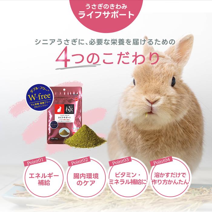 ハイペット うさぎのきわみ ライフサポート 100g うさぎ 介護食 流動食