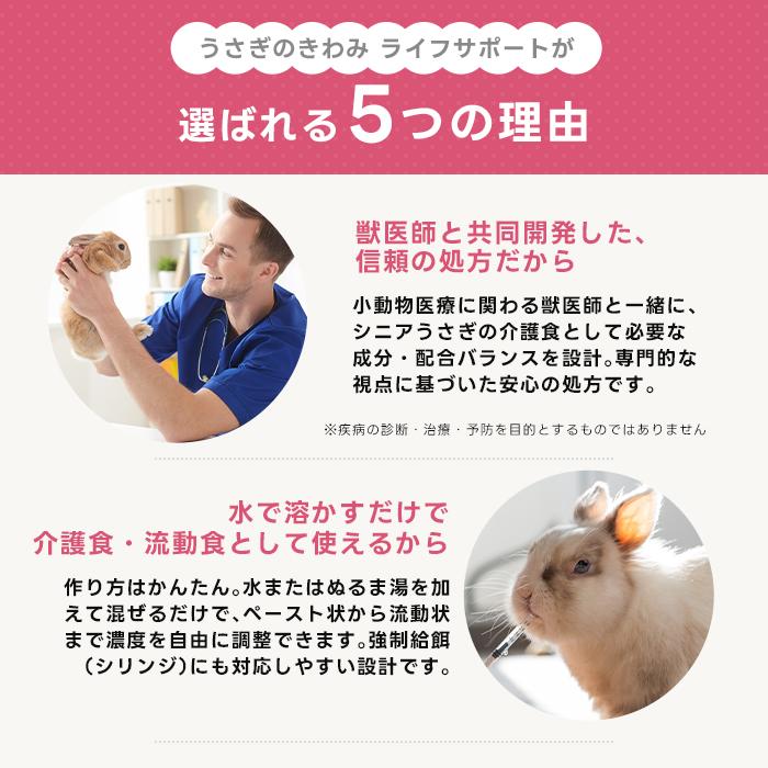 ハイペット うさぎのきわみ ライフサポート 100g うさぎ 介護食 流動食