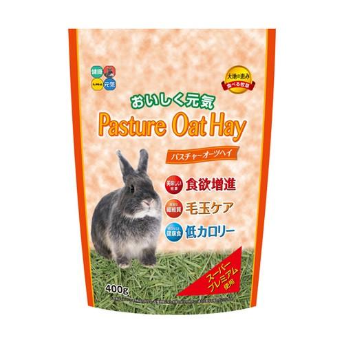 ハイペット パスチャー オーツヘイ 400g うさぎ 牧草 おやつ 総合栄養