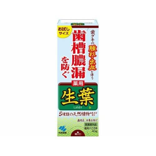 小林製薬 薬用 生葉 お試しサイズ 40g｜webby