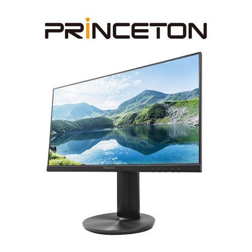 プリンストン PRINCETON マルチアングル対応 DisplayPort端子搭載 23.8 