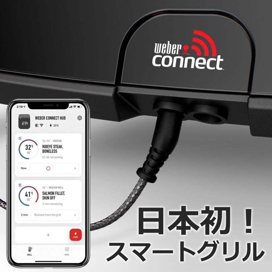 WEBER（ウェーバー） 【Weber公式】 PULSE 専用カート 付き