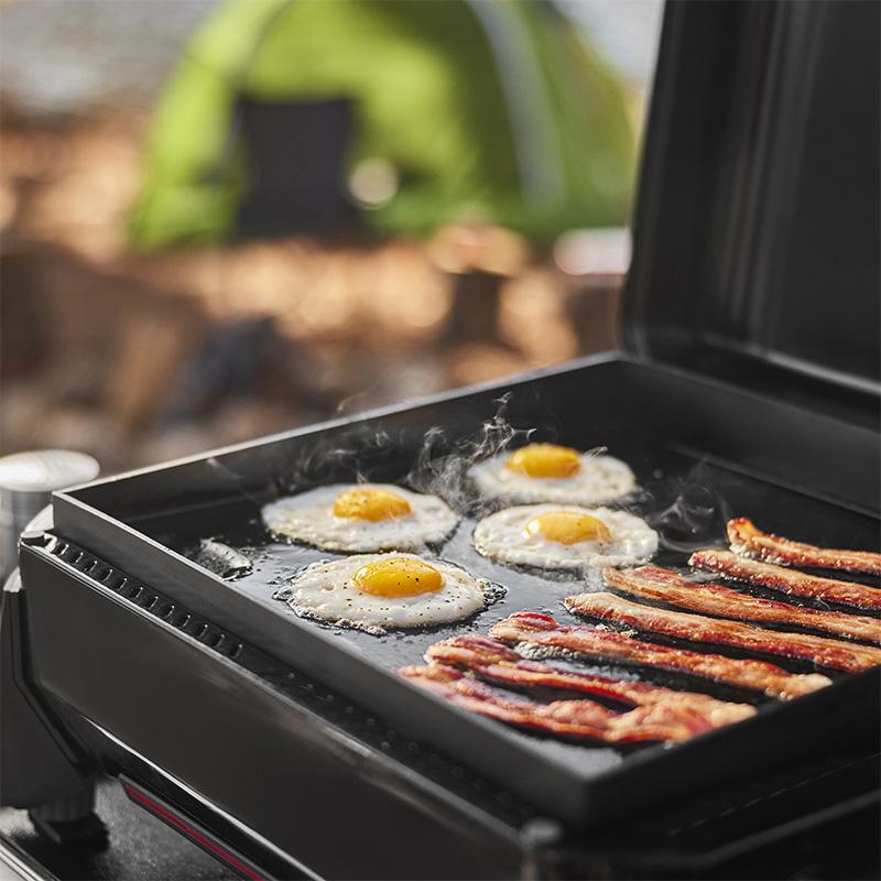 WEBER（ウェーバー） 【Weber公式】 Slate Compact 4-6人用 1500991