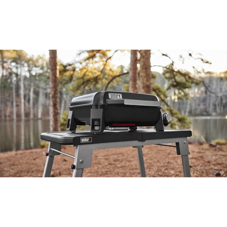 WEBER（ウェーバー） 【Weber公式】 Slate Compact 4-6人用 1500991