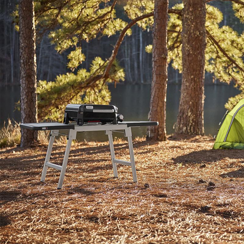 WEBER（ウェーバー） 【Weber公式】 Slate Compact 4-6人用 1500991