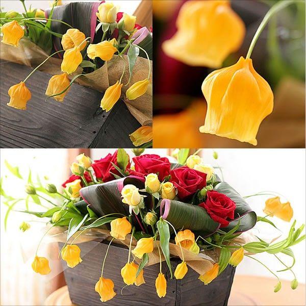 誕生日 プレゼント ゴージャスオレンジ サンダーソニア 210yua Gojasorenge 翌日配達 お花屋さん 通販 Yahoo ショッピング