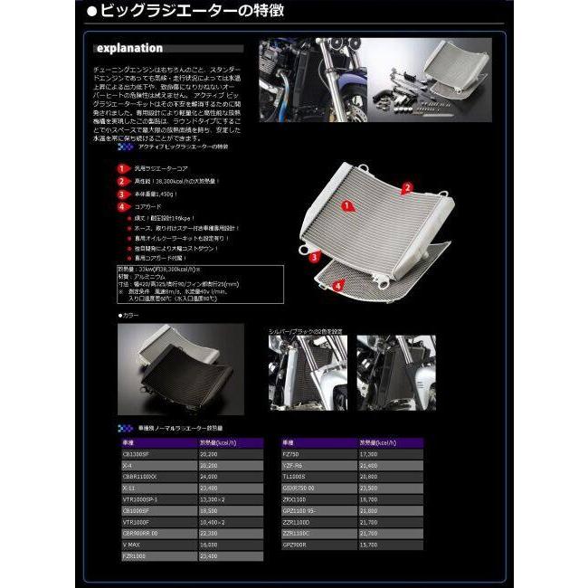 ACTIVE アクティブ ビッグラジエーターキット [TYPE-2] カラー：ブラック GPZ750R GPZ900R KAWASAKI カワサキ ラジエーター 冷却関連 エンジン | ACTIVE（釣り） | 04