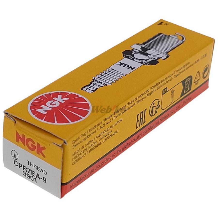 専用 2点 いそっぷ トリックスター / Ninja ZX-25R (23-25)レーシング