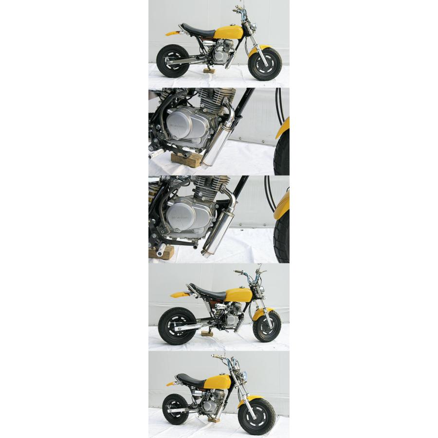 ウイルズウィン エイプ用ロッドショートマフラー WirusWin