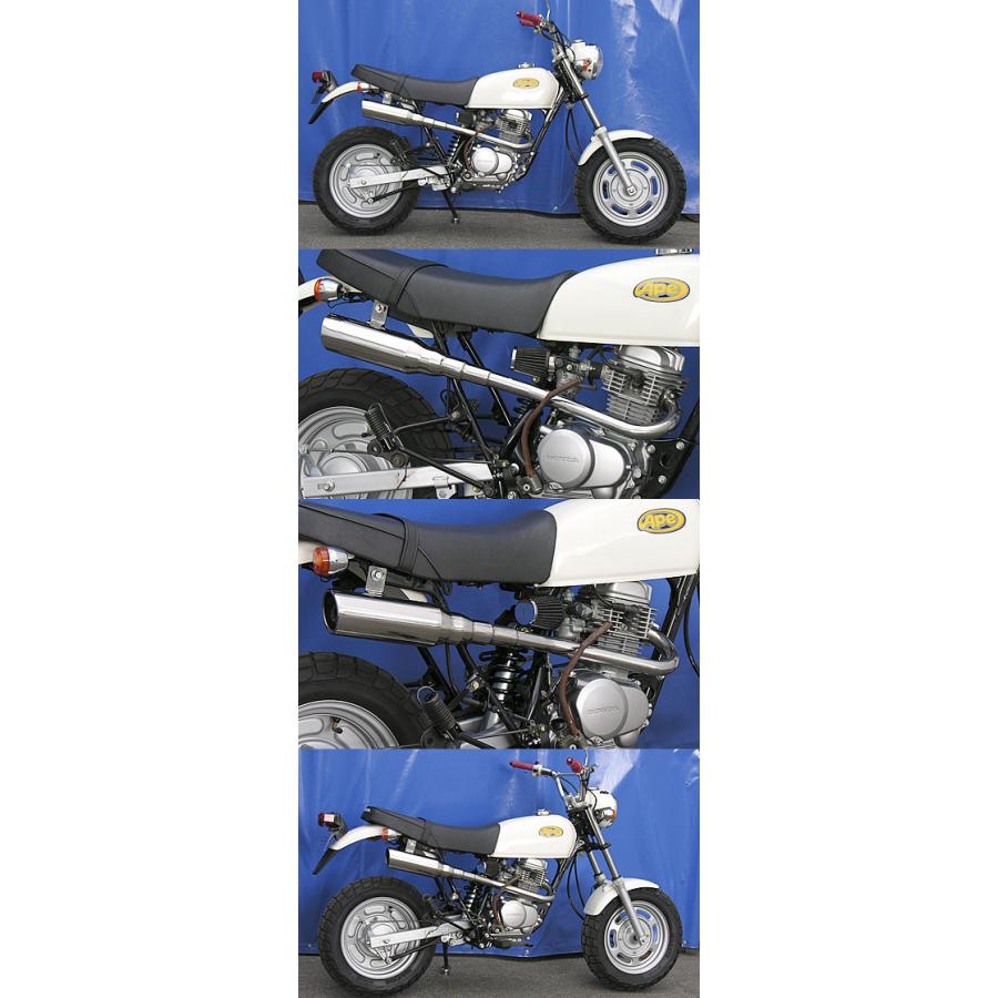 エイプ マフラー ウイルズウィン WirusWin（ウイルズウィン） テイストアップマフラー エイプ100 HONDA