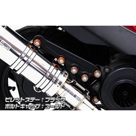 WirusWin WirusWin:ウイルズウィン アニバーサリーマフラー専用ビレットステー ブラックバージョン アドレスV125 SUZUKI スズキ