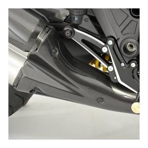 de LIGHT de LIGHT:ディライト ドレスドテールパイプカバー 素材：綾織りカーボン DIAVEL [ディアベル] DUCATI ドゥカティ